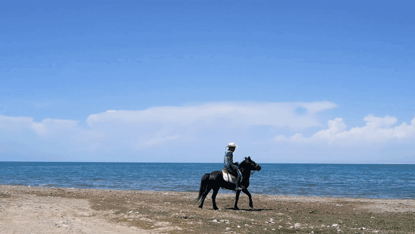 作品首发朗诵青海湖