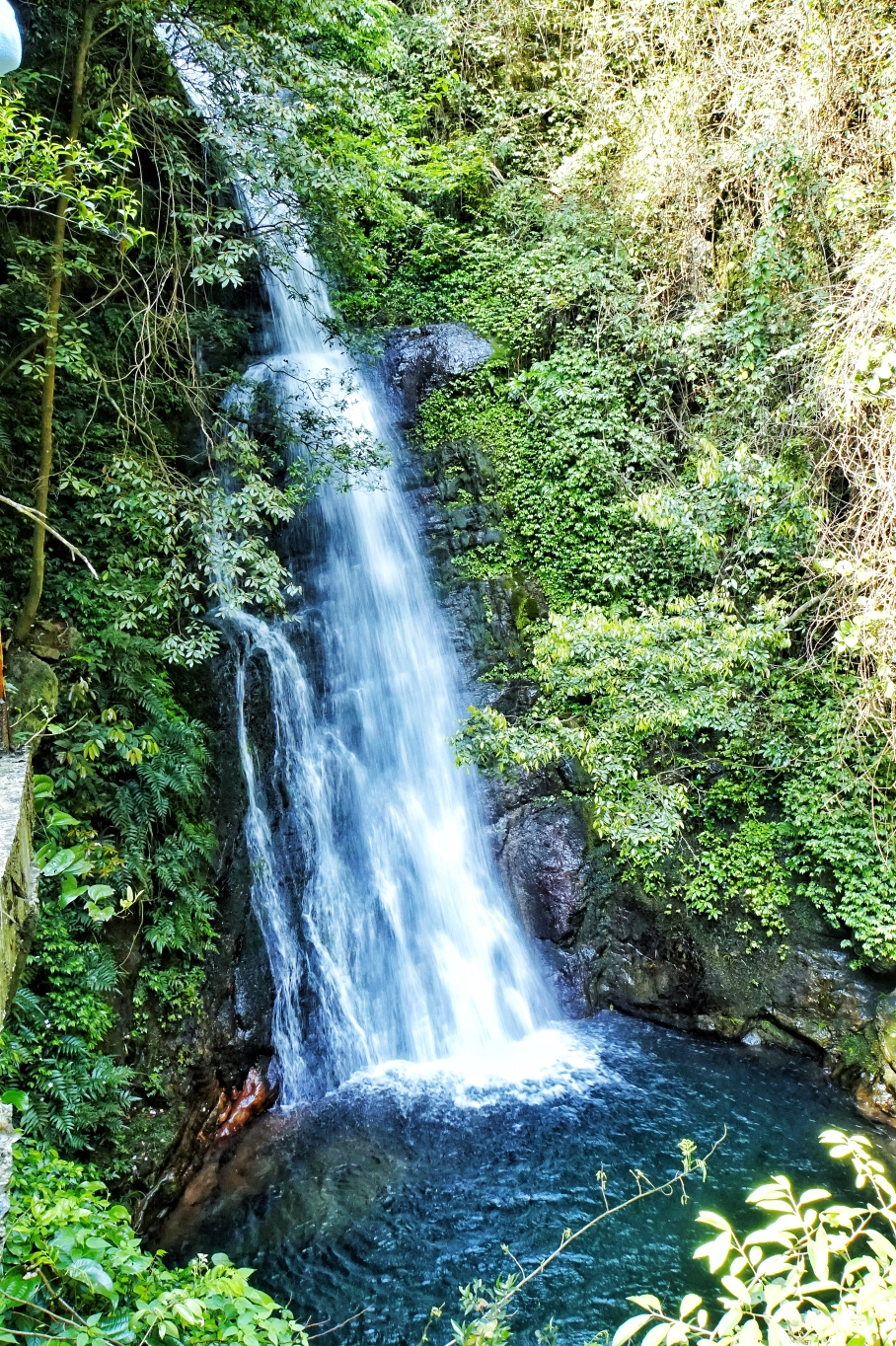 桂林灵川神岭瀑布高山映山红