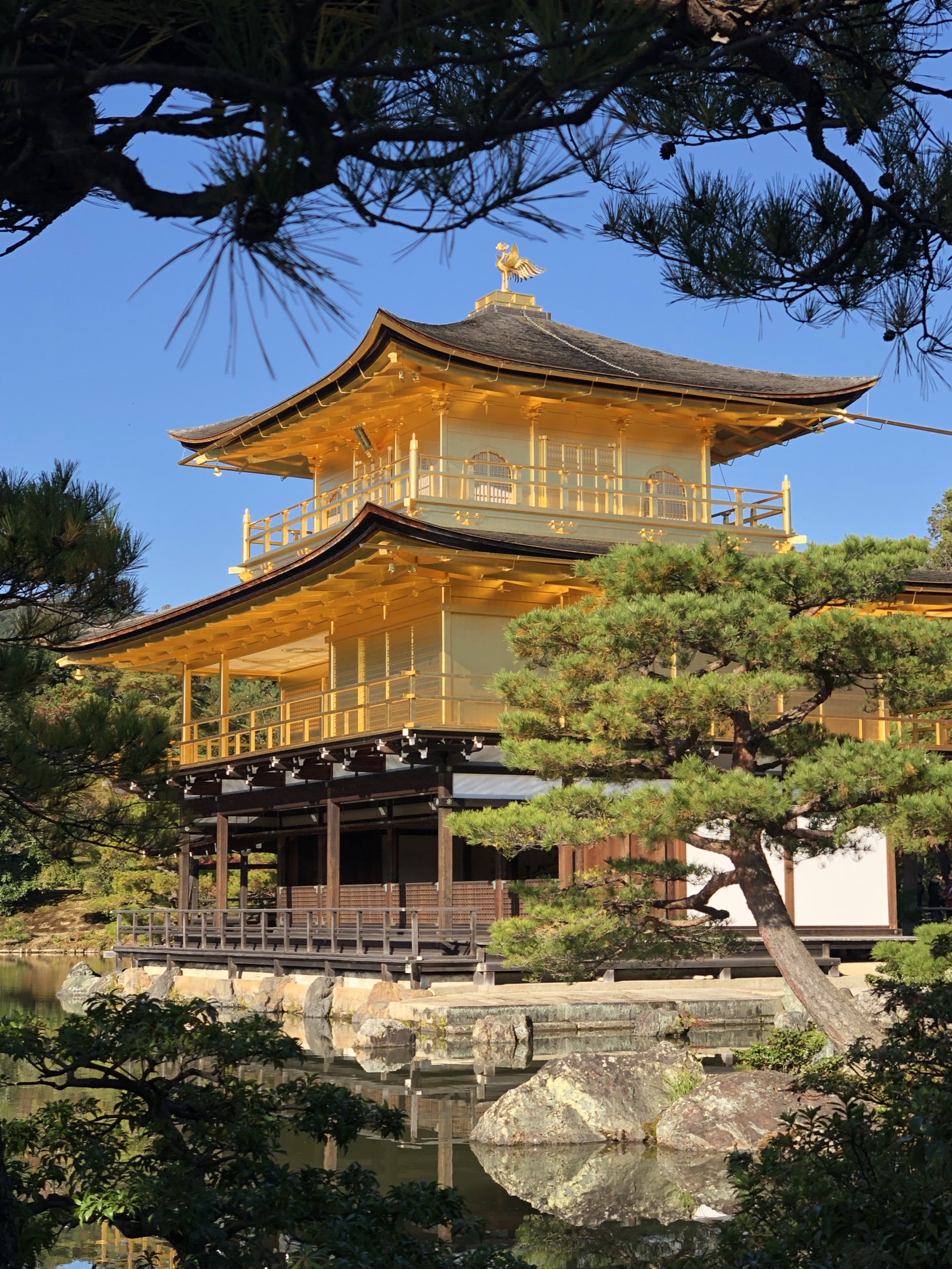 日本旅行6京都金阁寺银阁寺