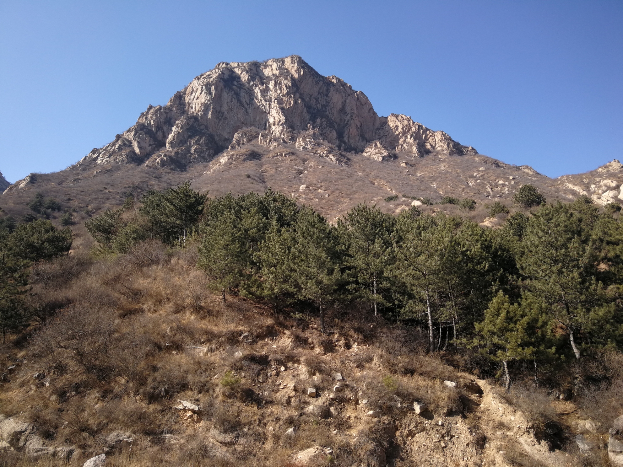 浑源千佛岭风光