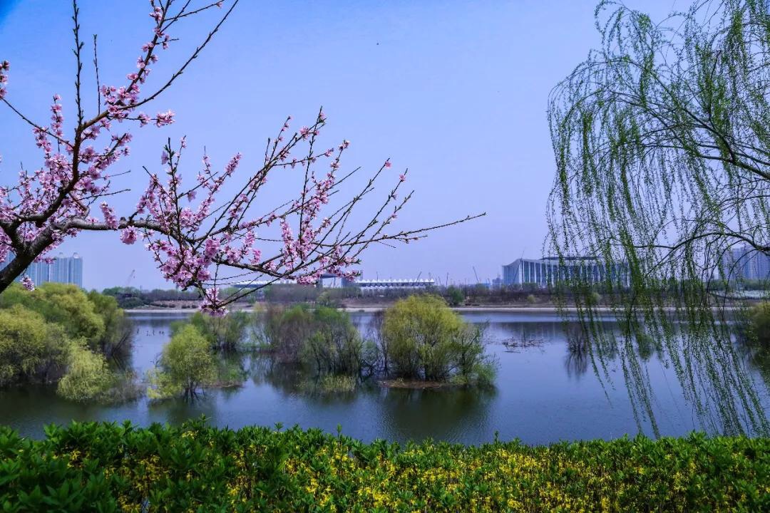 散文诗走进春天