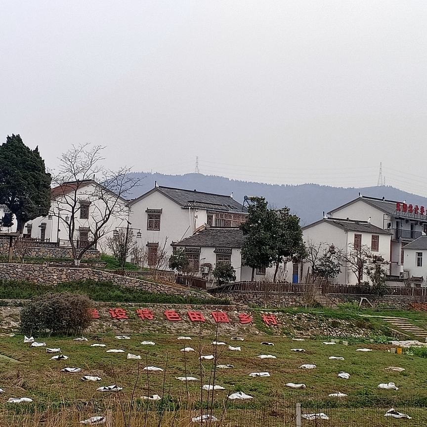 江宁区里有个古村落叫佘村,它位于江宁区东山街道,处于青龙