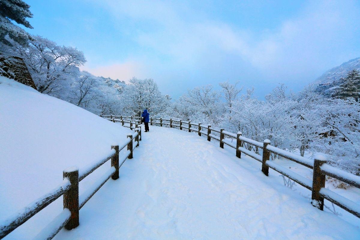 黄山~雪影