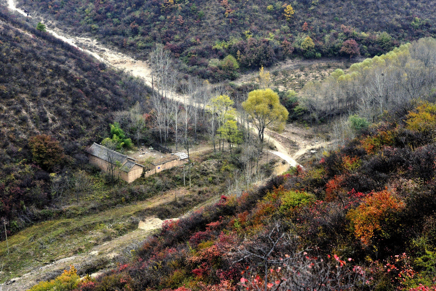 绛县采风赏红叶