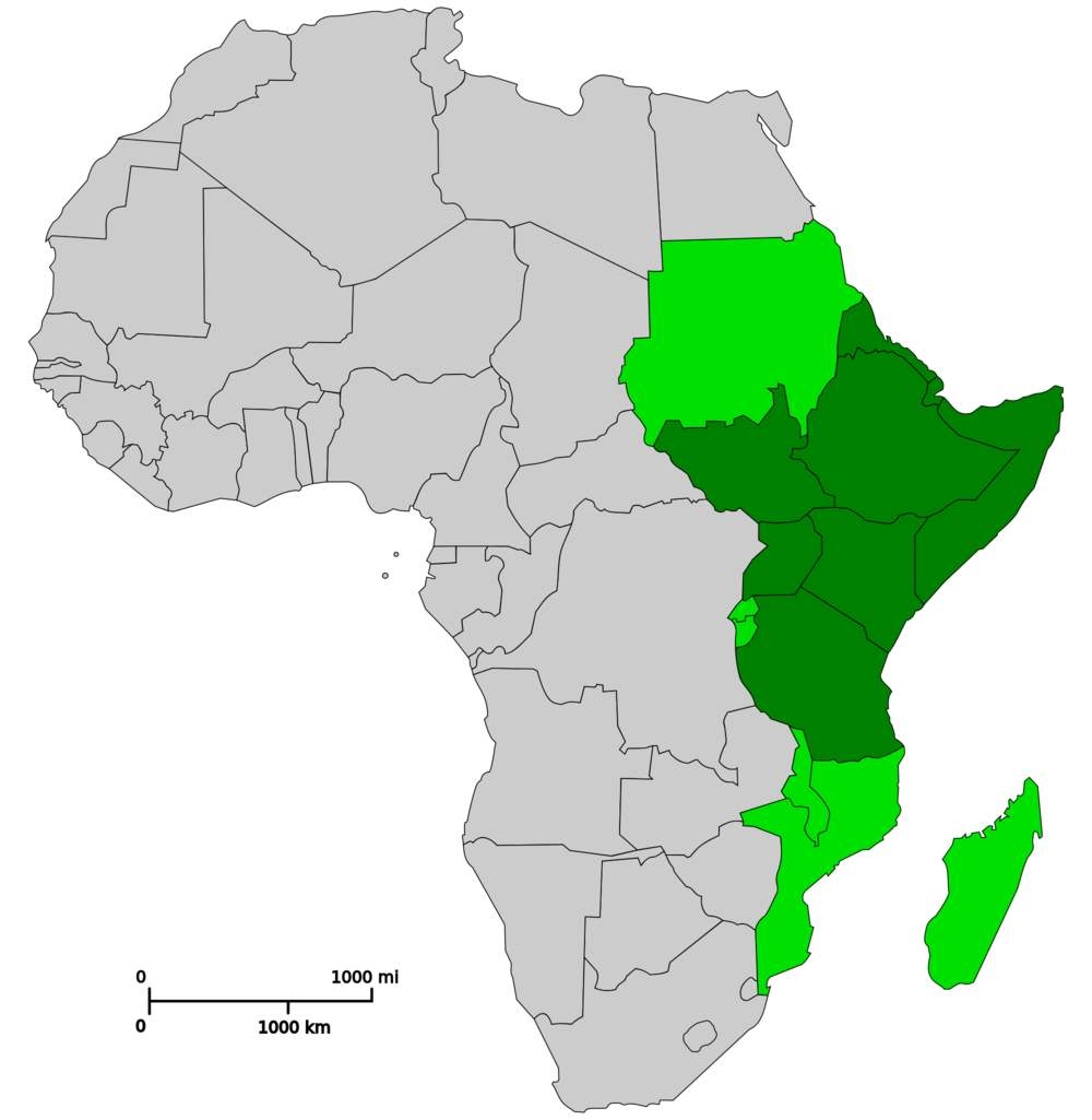 非洲国家