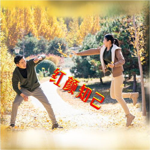 红颜知己