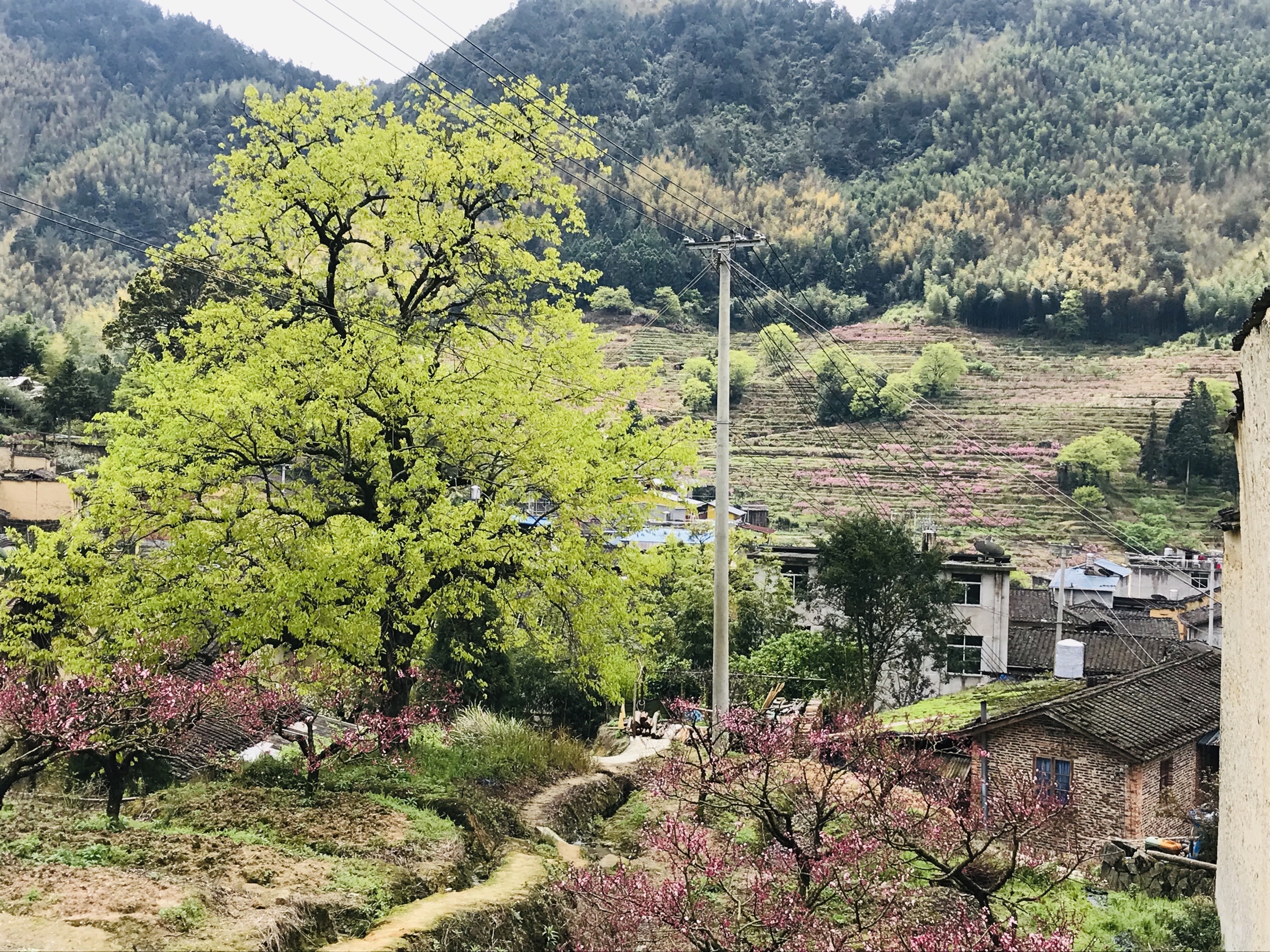 20200401古田临水宫兰坦村赏桃花一日游