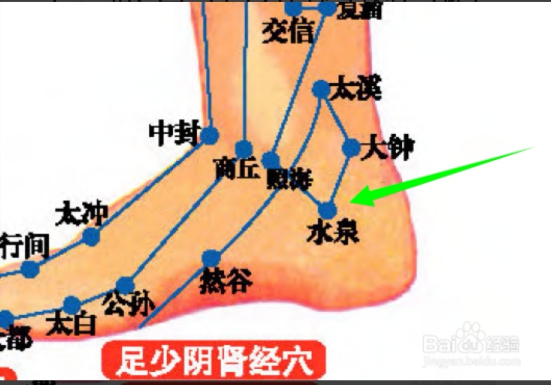 人体十二经络容易堵塞的穴位