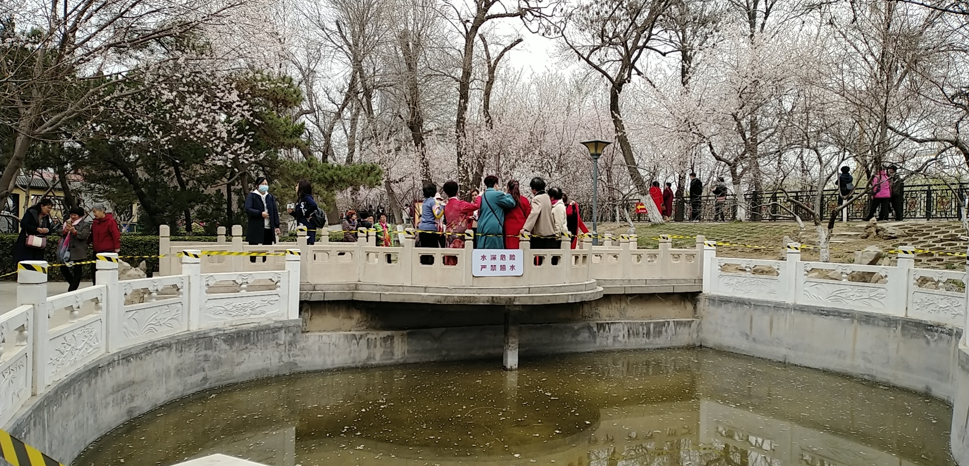 天津桃花堤公园