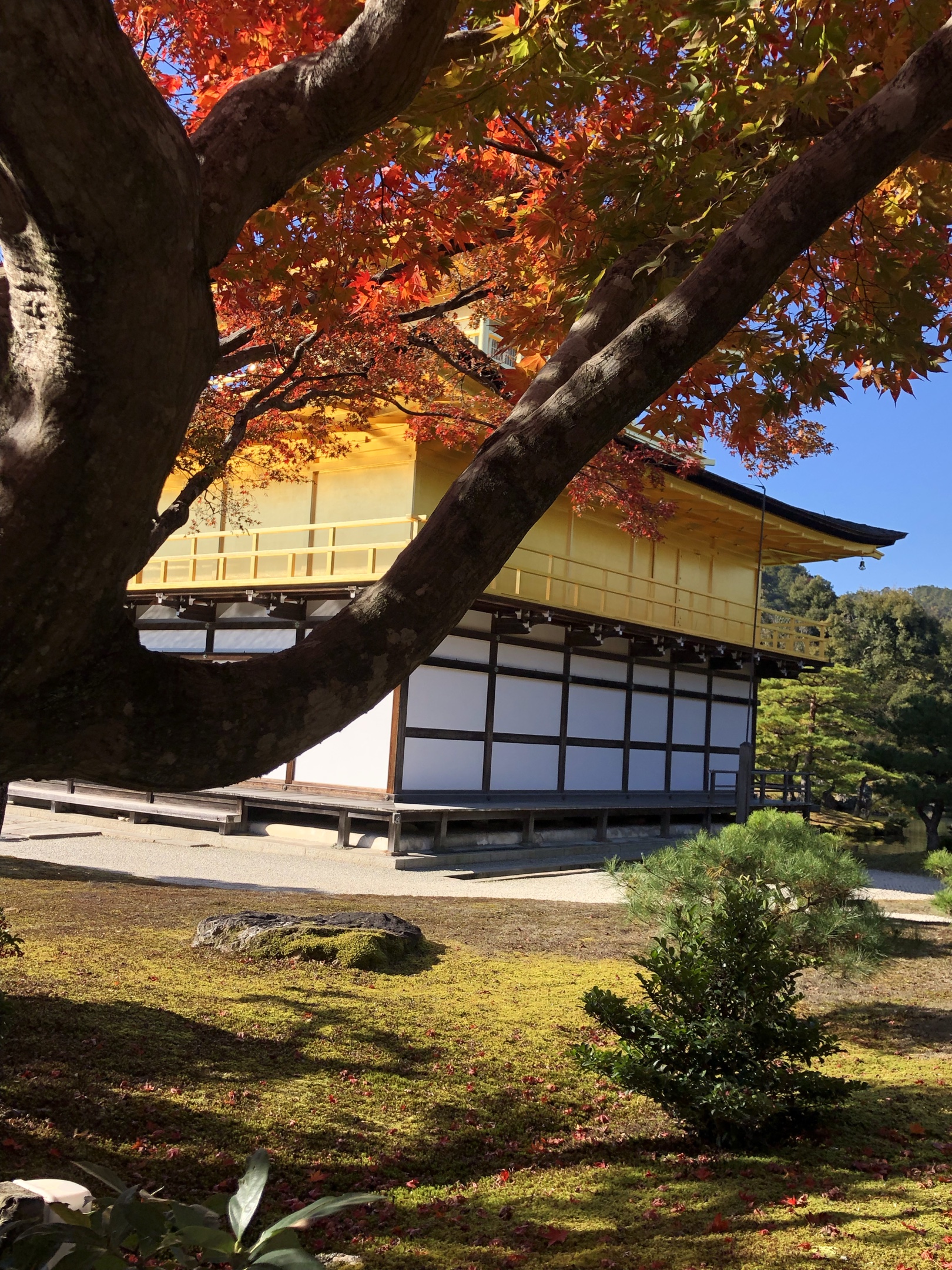 日本旅行6京都金阁寺银阁寺