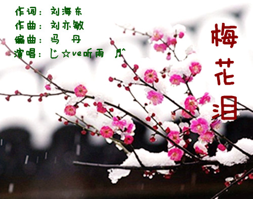 歌曲梅花泪演唱平安是福