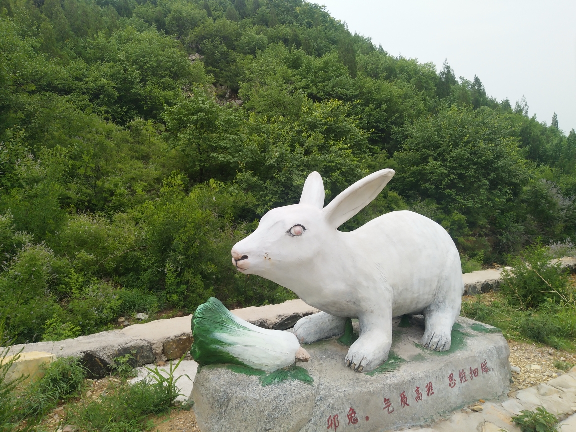 十二生肖