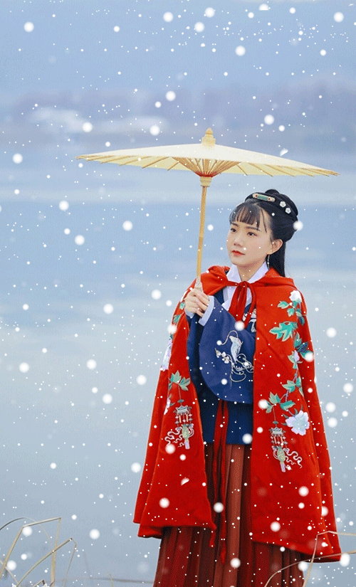雪花飞，相思堆 ֽ