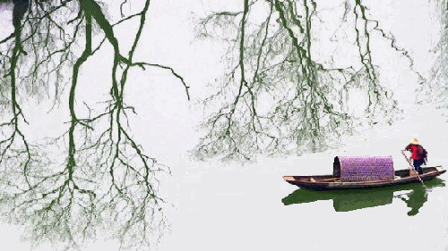 500_281gif 动态图 动图