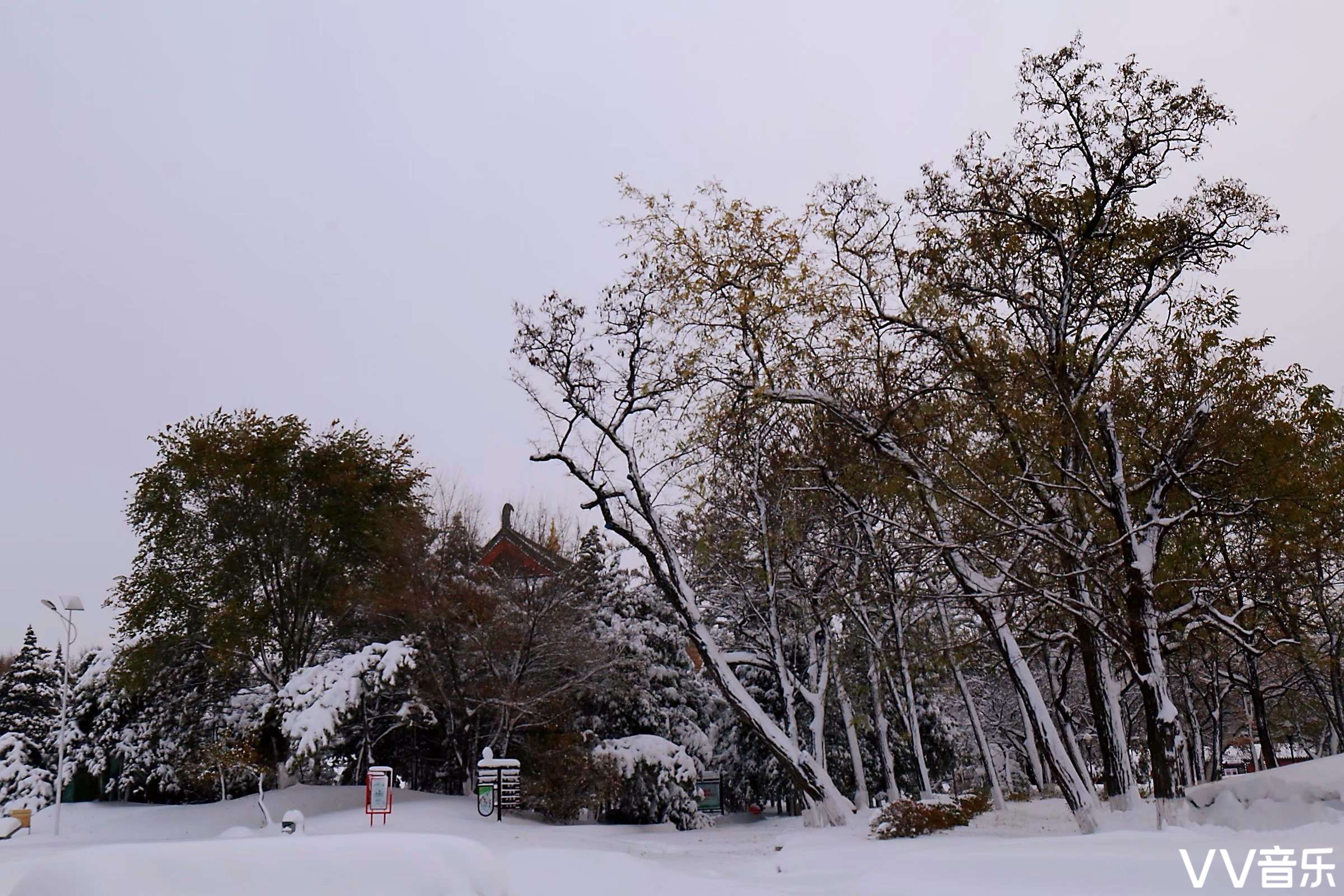 珠峰摄影白塔公园的雪景