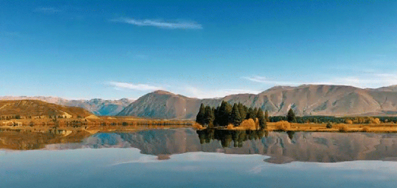 800_379gif 动态图 动图