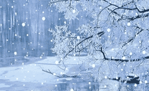 约会春天季节深处作者无花果