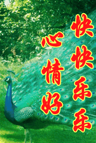 2018年最美日历