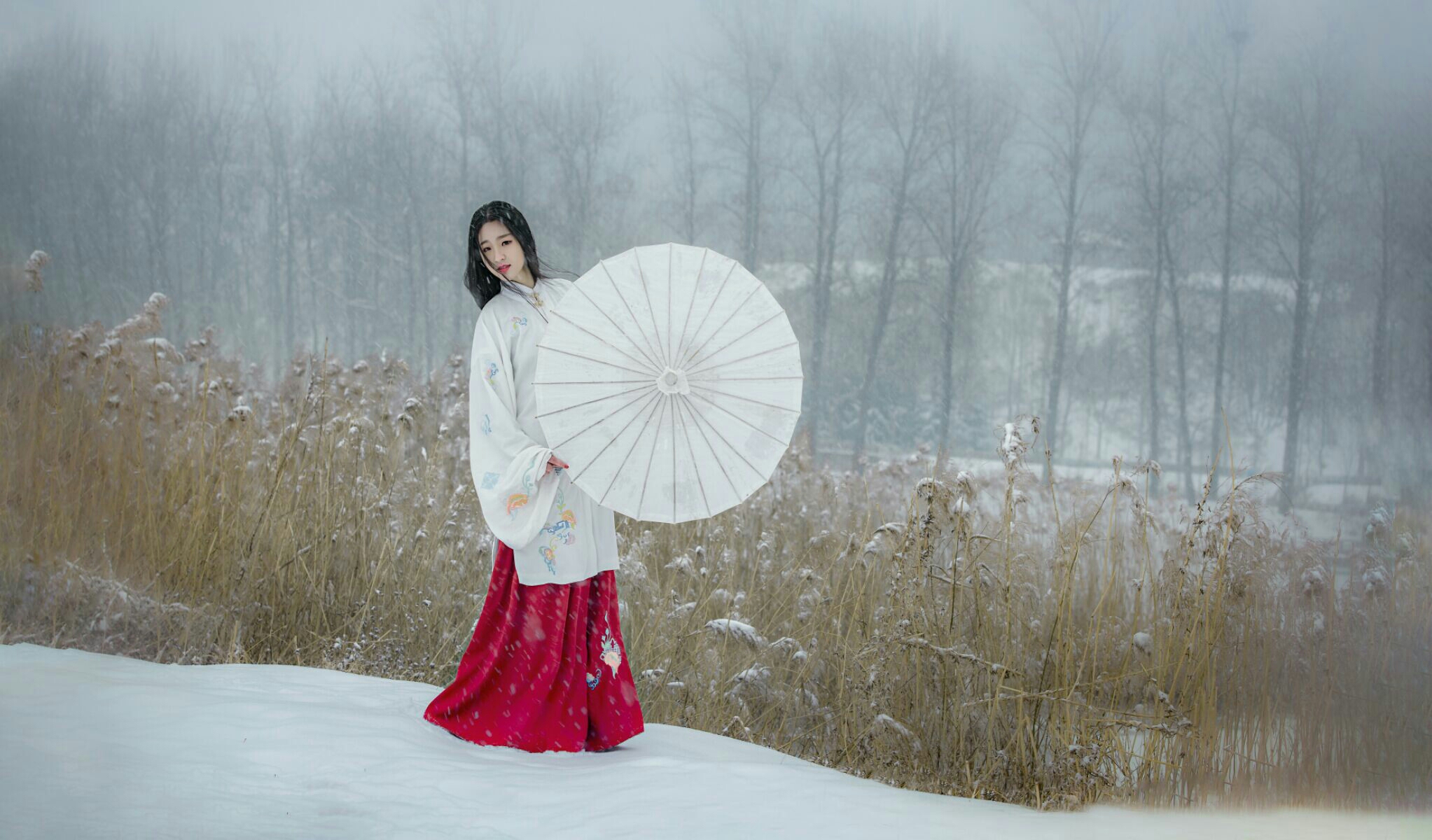 霁雪红颜