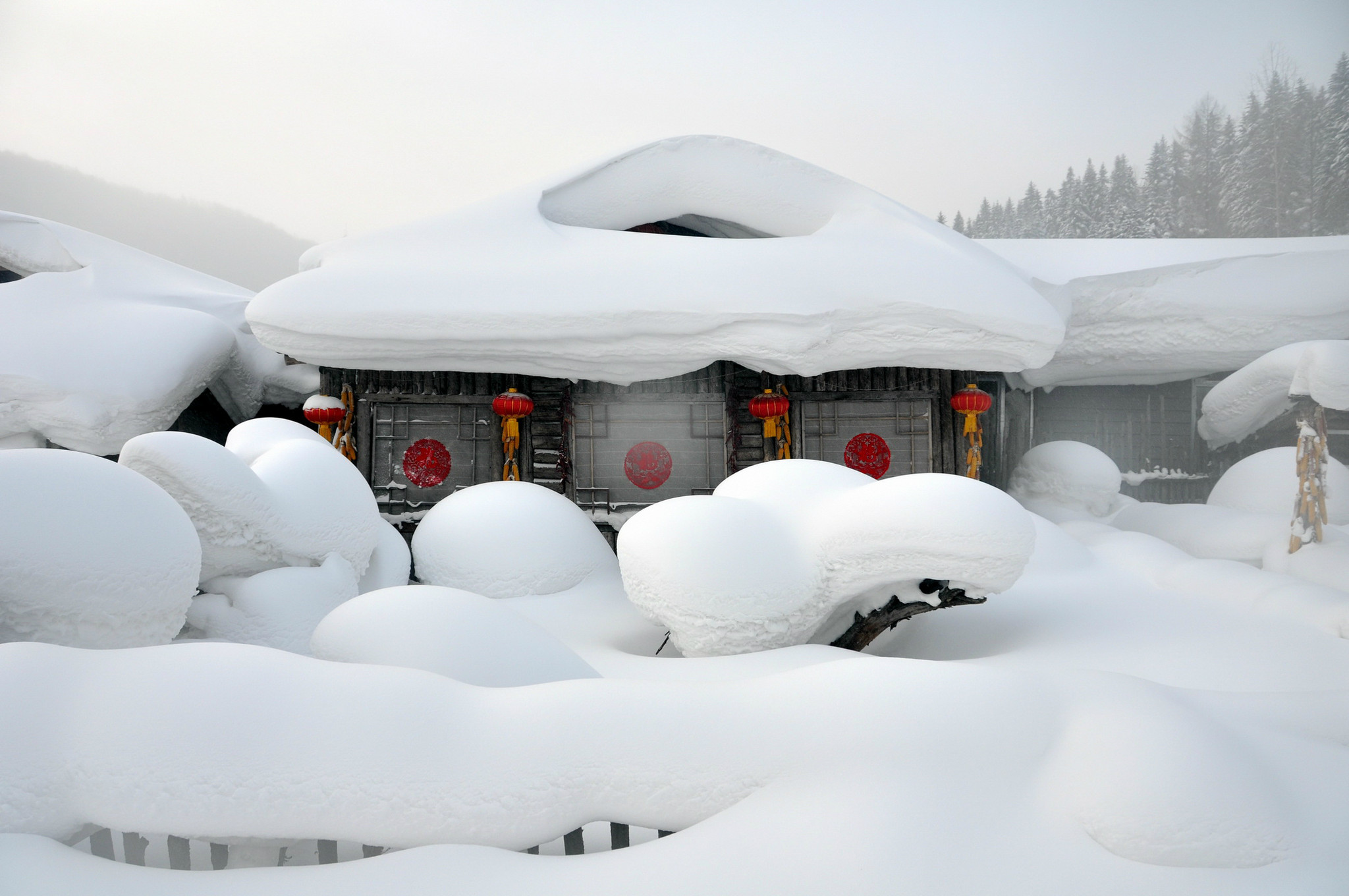 1/8 白雪皑皑,景色秀丽的双峰林场位于牡丹江西南部海林市大海林林业