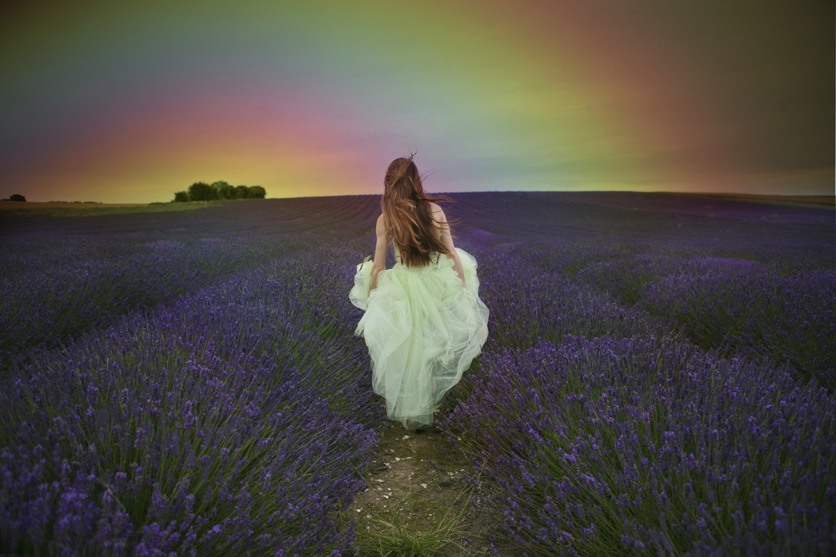 在薰衣草里拍照是多少姑娘从小的愿望