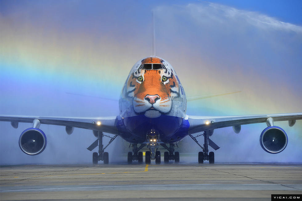 盘点那些炫酷的彩绘飞机