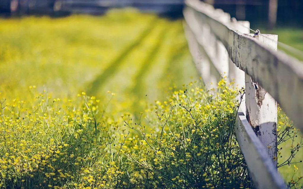 做个守心自暖的人