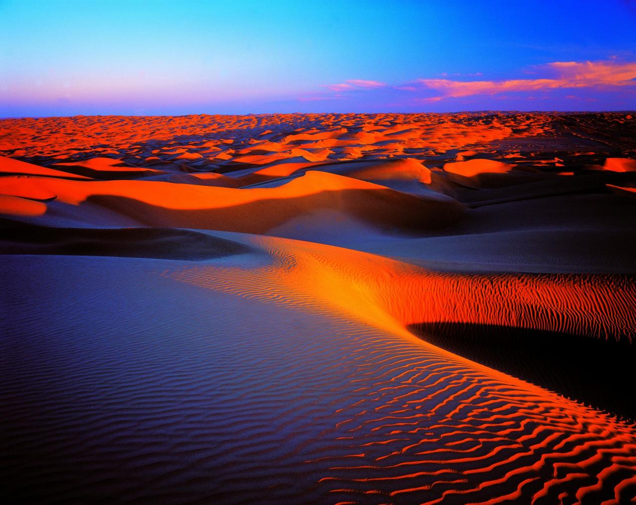 从塔克拉玛干沙漠和塔里木盆地挖掘