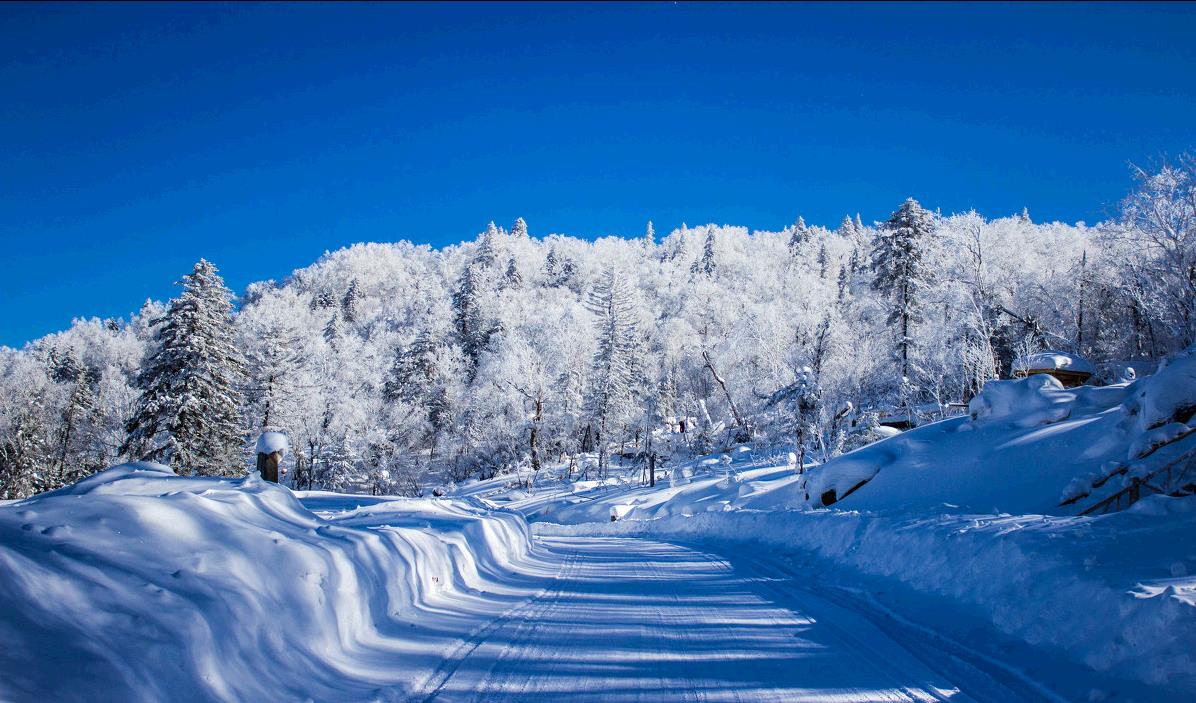 中國的這個村莊一年中有230多天被大雪覆蓋積雪厚度有2米深