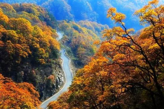 马鬃岭奇幻森林藏在深山里的仙境