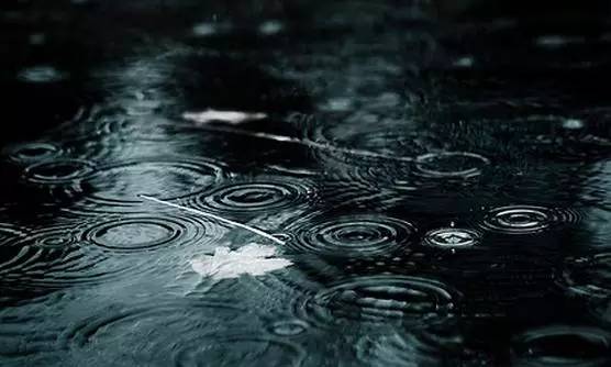 落雨┅听禅净化心灵