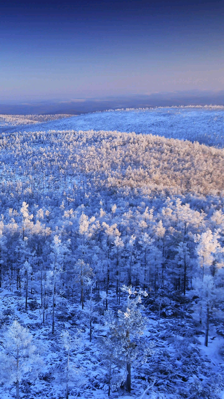 簌簌雪花 晶莹剔透冰凌 展现出冬日大兴安岭独有的冷峻之美
