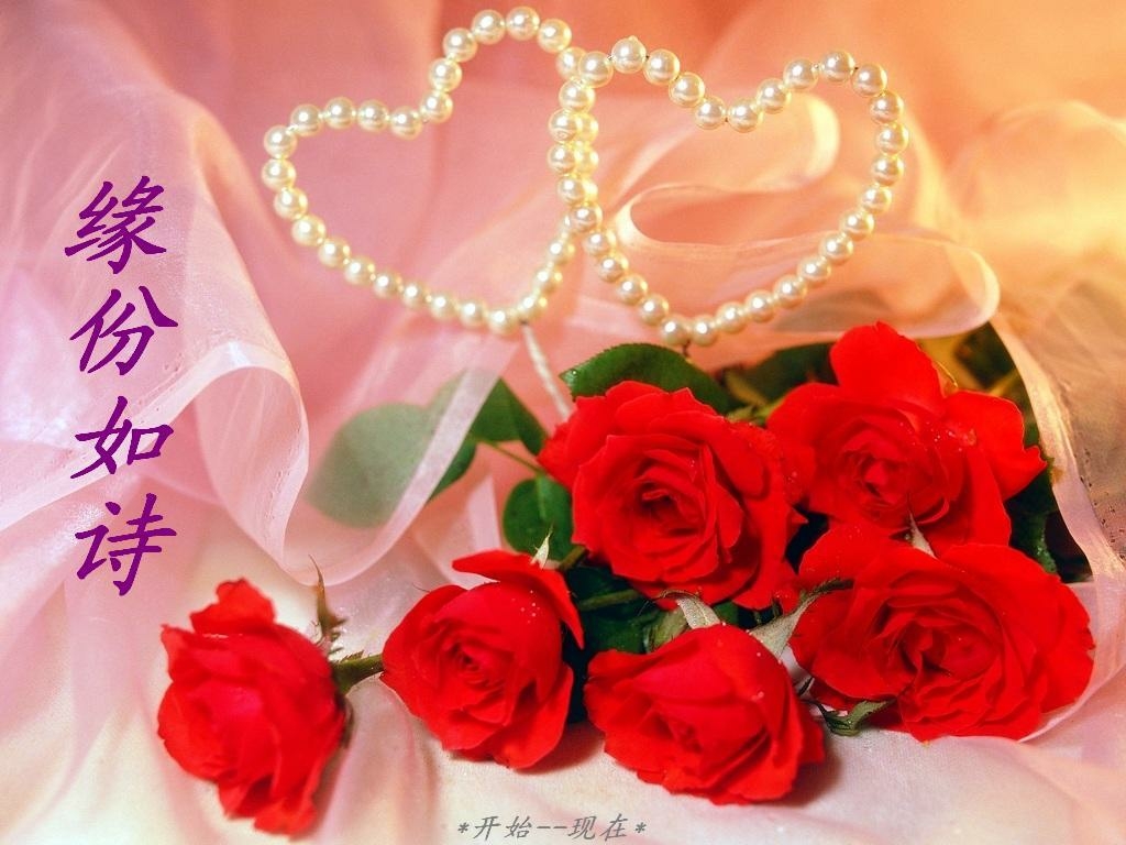 遇上你是我的缘