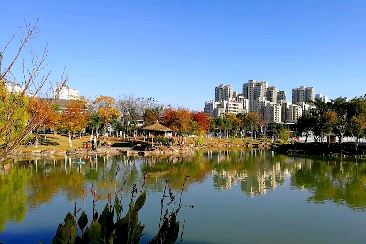 我的家乡温州白鹿洲公园美景