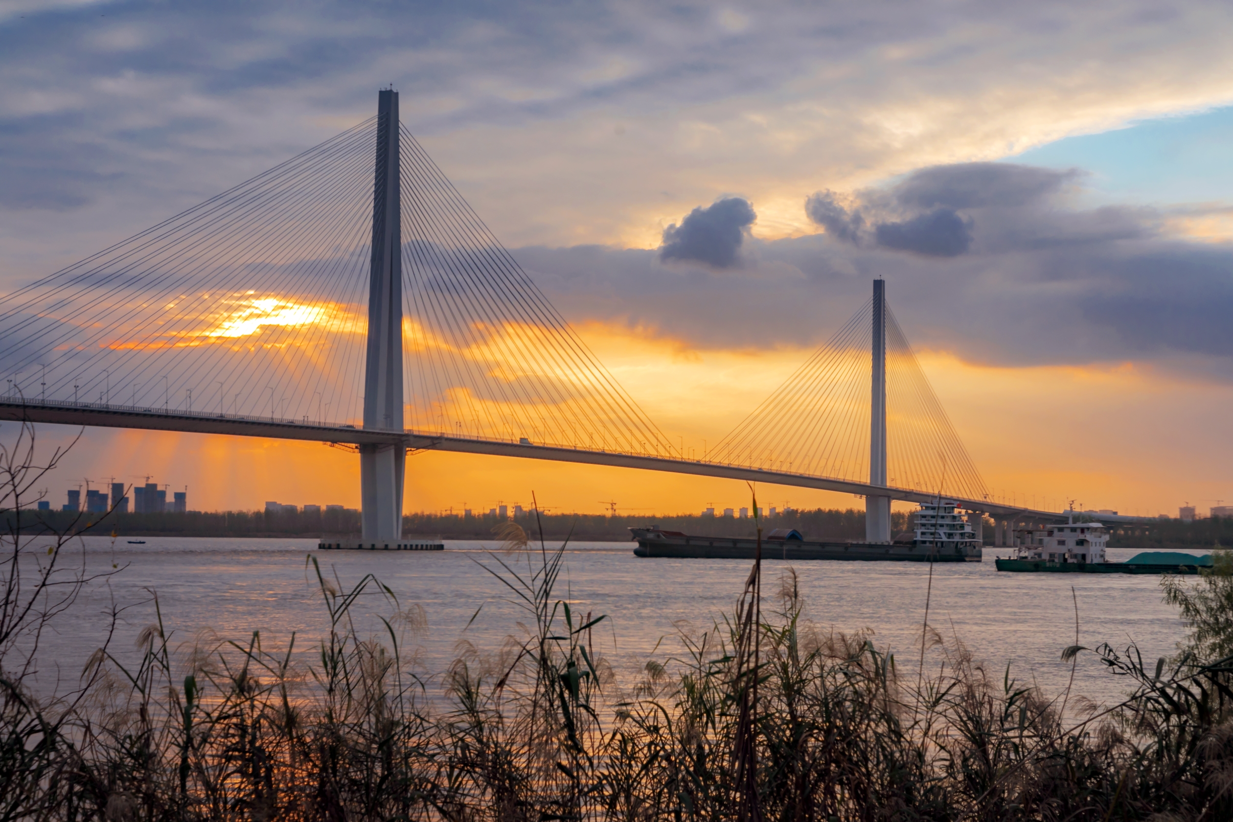 夕阳下的长江五桥(首发)