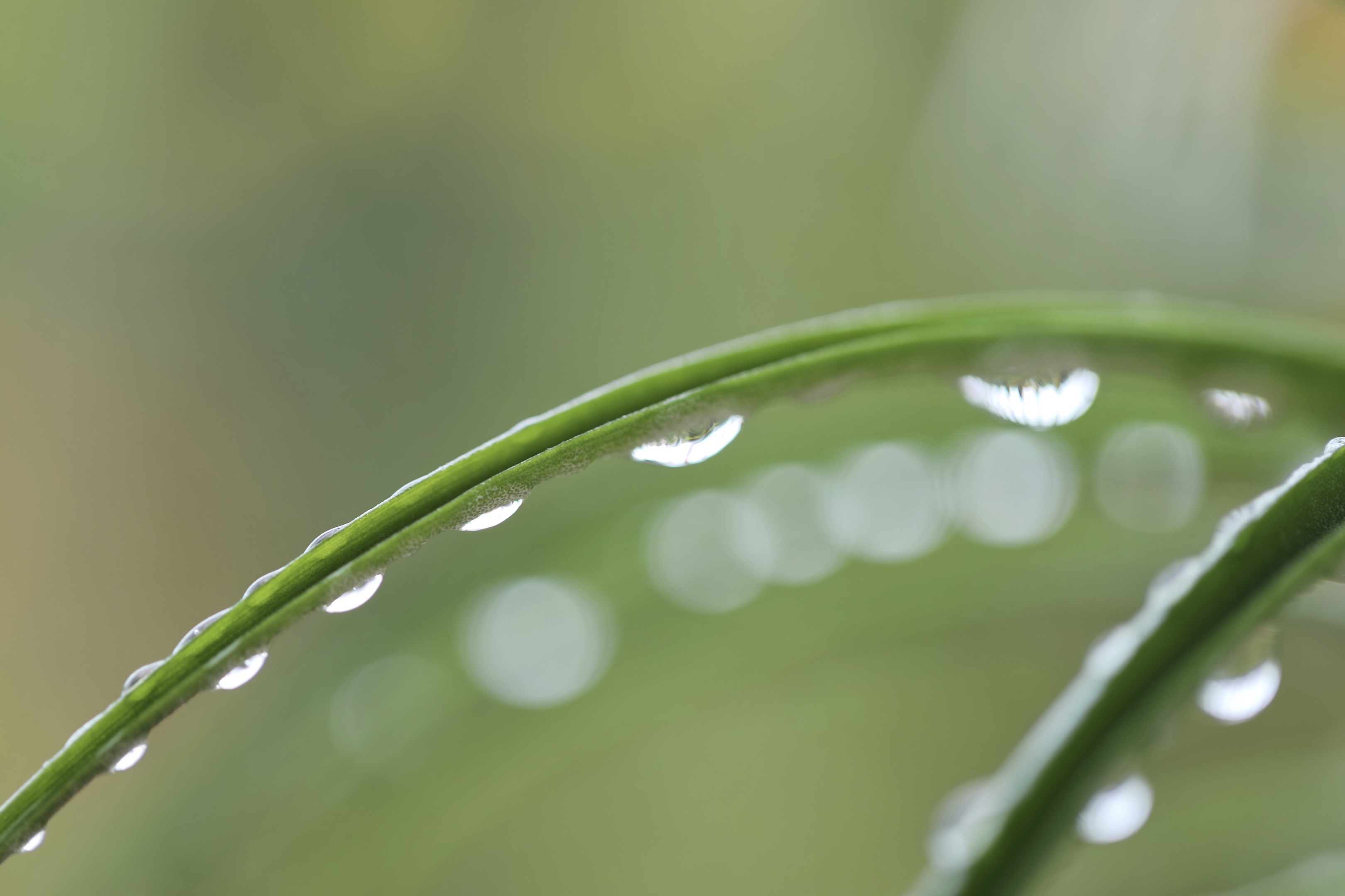 【首发】雨滴