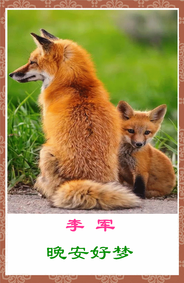 问候住二人晚安好梦图狐狸照背景音乐盼情缘演唱安东阳司徒兰芳