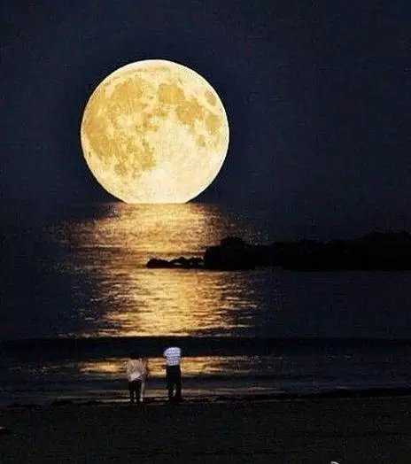 原创作品月下等你文浅笑安然诵读简美图片网络