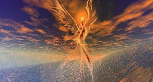 这就像毛毛虫在茧里发生了什么一样,大家也不知道飞入火海后的凤凰