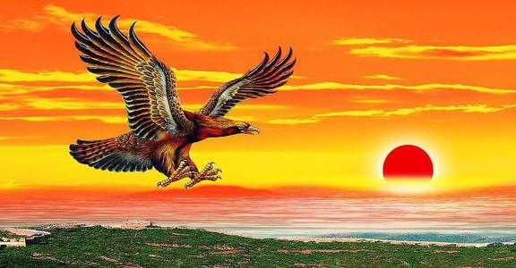 有一条大鱼,生活在北溟那个地方, 它化作一只巨鸟, 在天地之间翱翔