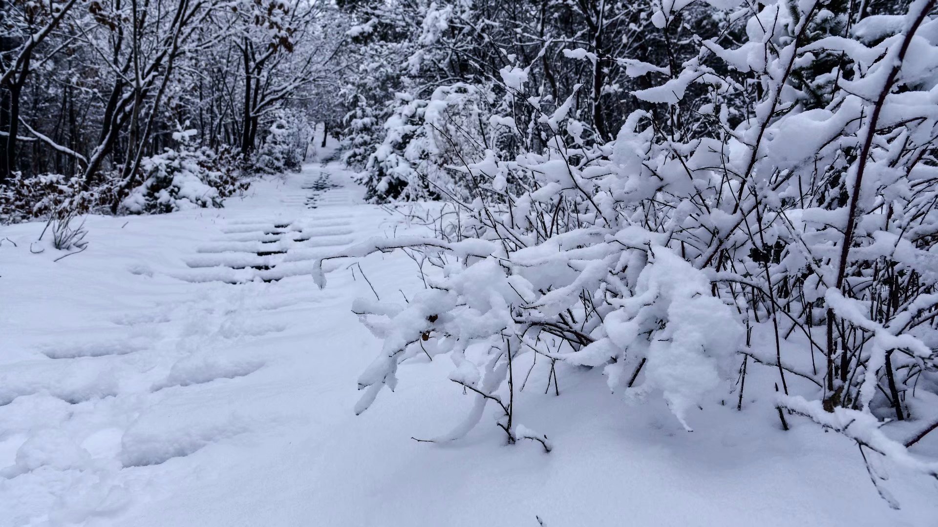 与雪的对白