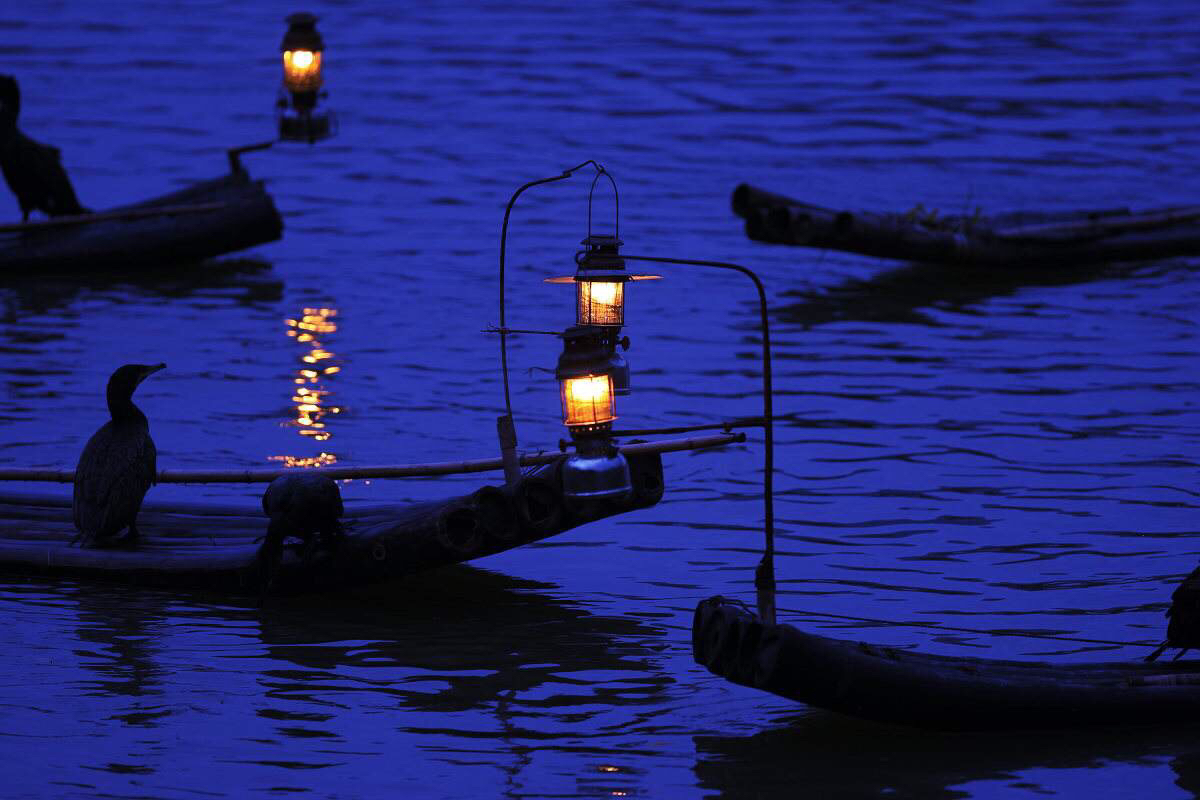 行囊还在驿站欲逃未逃月光逃出来青衫逃出来接着渔火逃出来一些红枫先