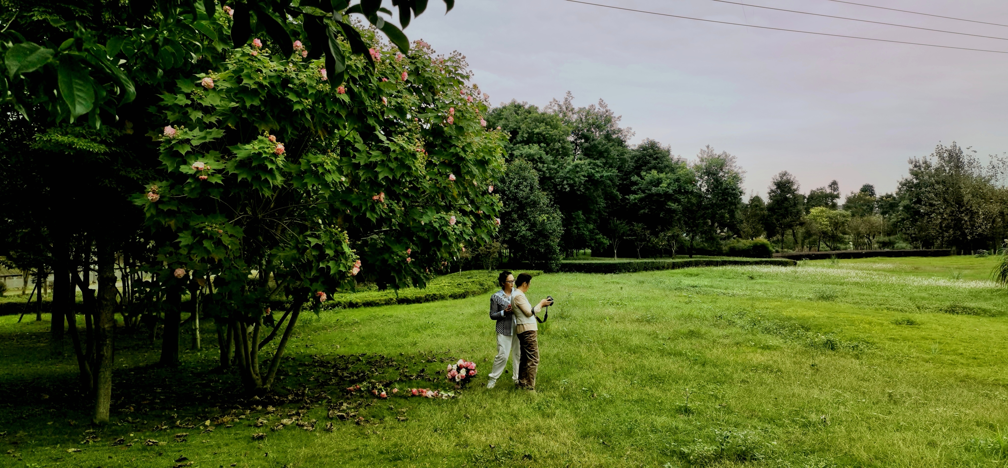 遛弯儿随拍(首发)