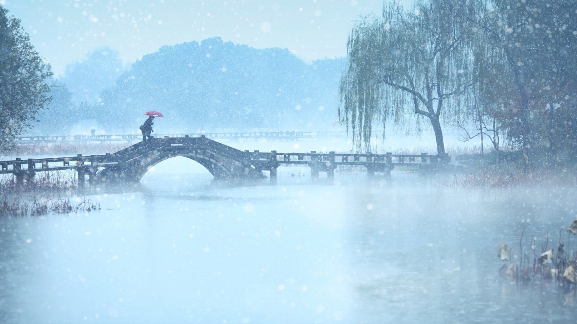 唯美意境大自然雪花