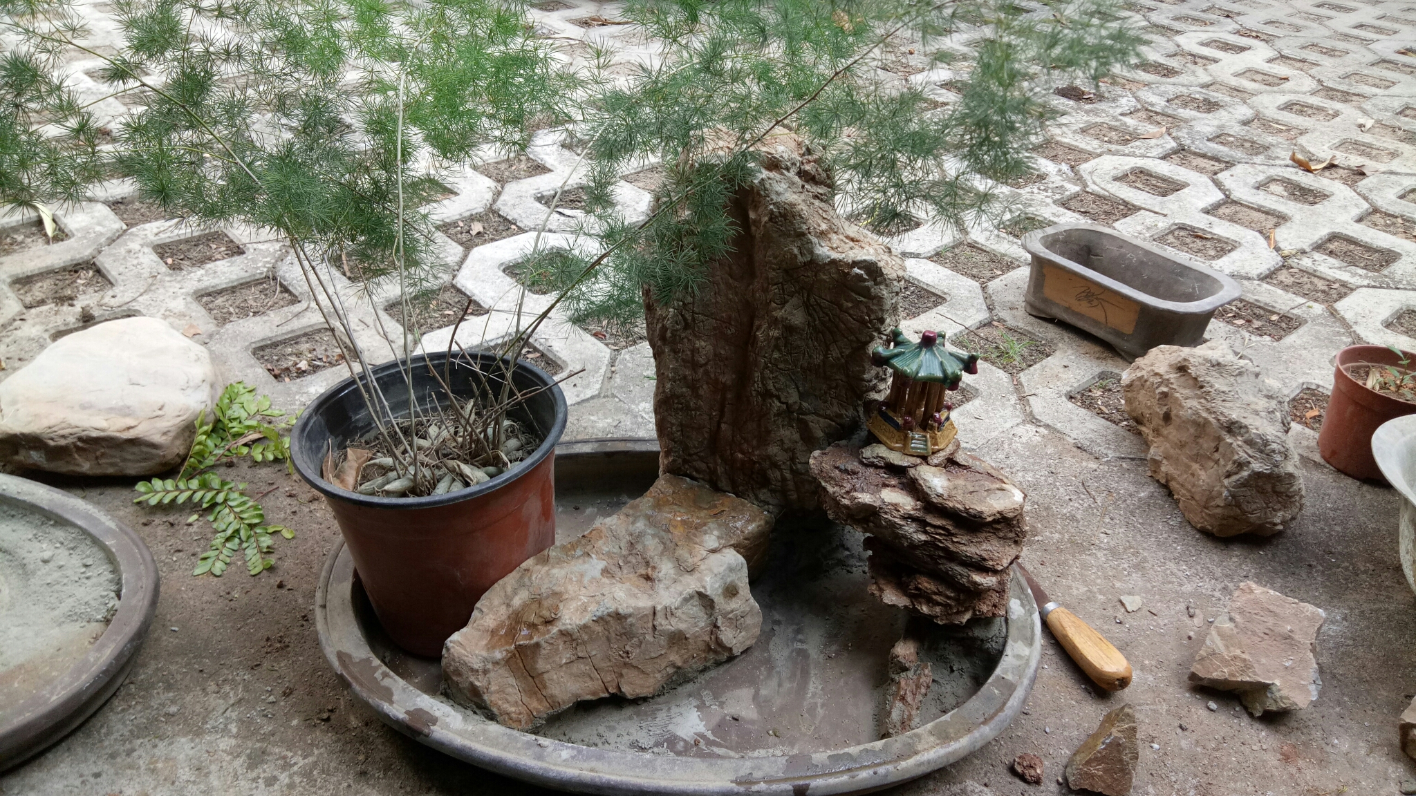 做水旱盆景不尝试一下怎么知道自己的水平