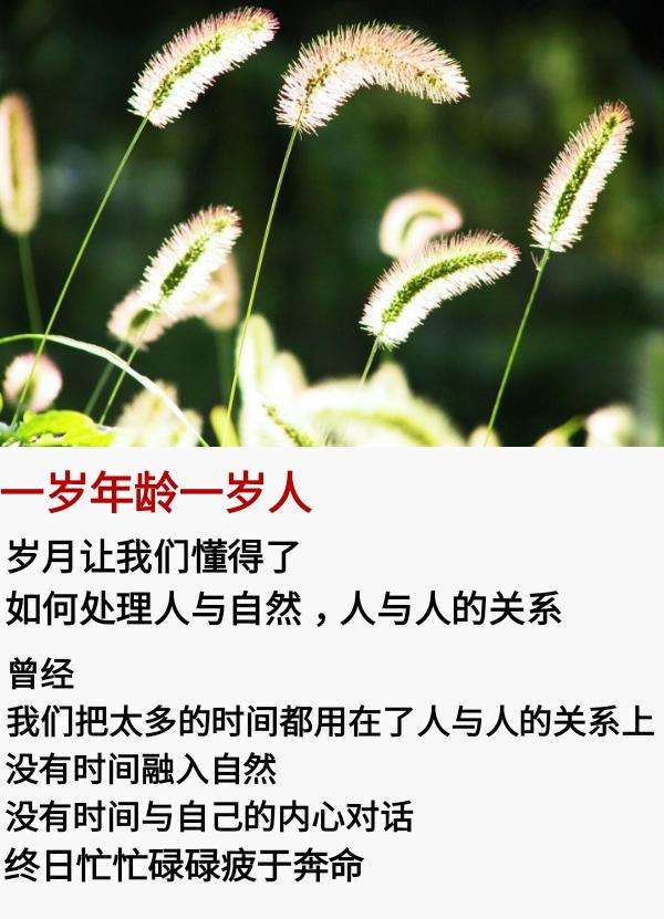 歌曲《一岁年龄一岁人》演唱:浅笑*安然