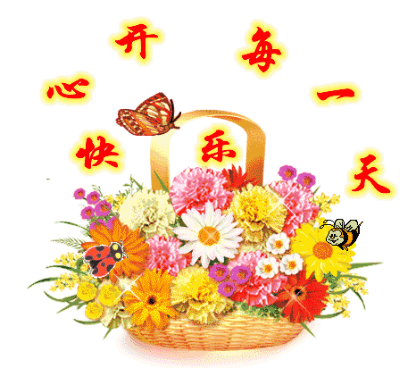 466_412gif 动态图 动图