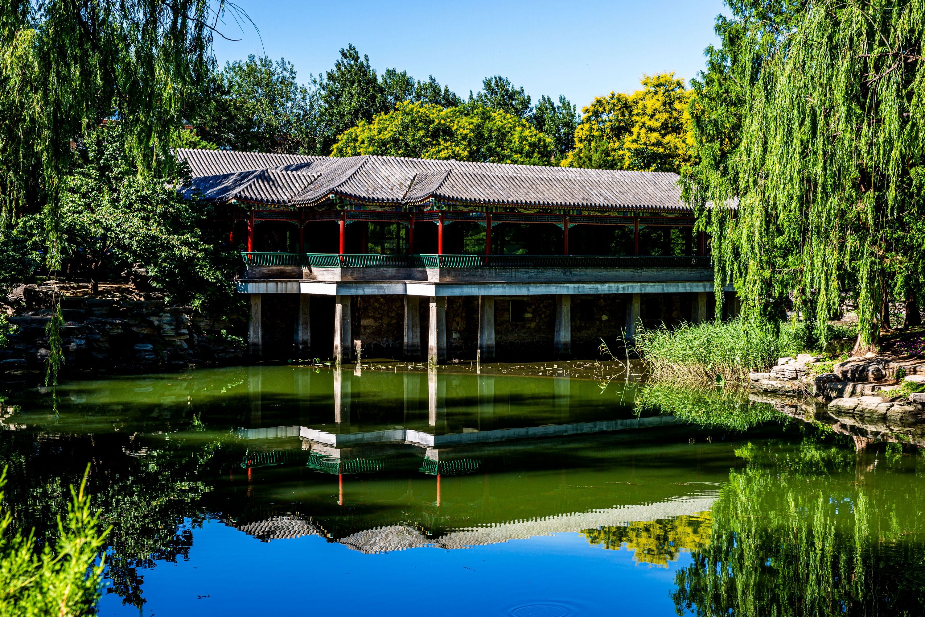 【首发】北京中山公园夏日风光