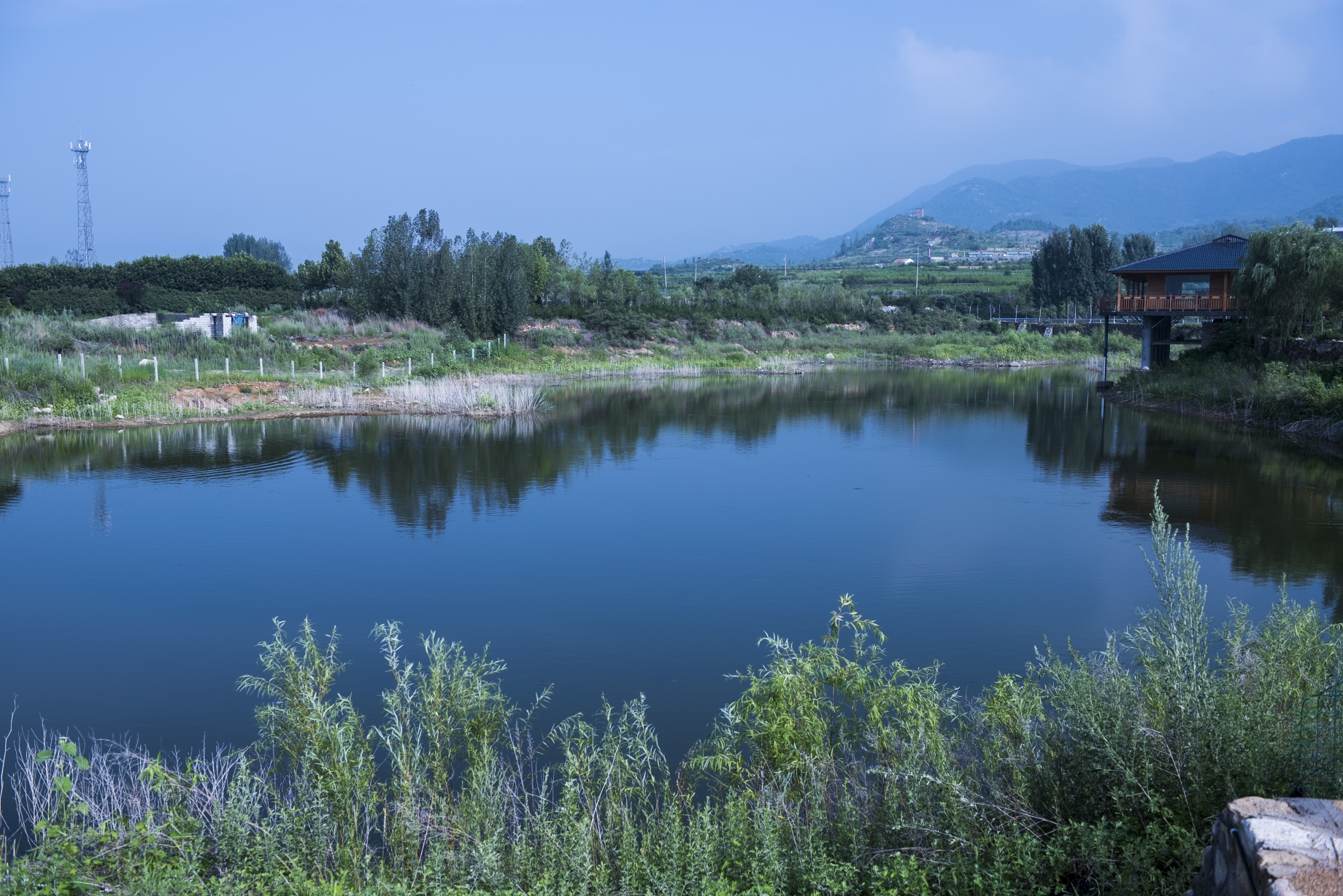 走近泰山茶溪谷