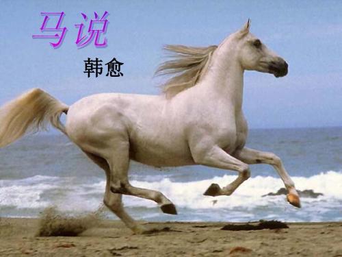 喂养它,不能够充分发挥它的才能;听千里马嘶鸣,却不能懂得它的意思